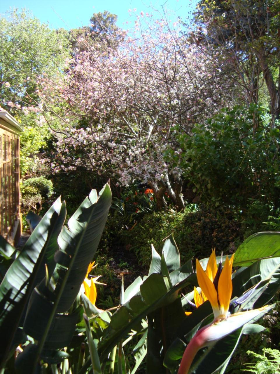 Cap Serein Guest House Le Cap Extérieur photo